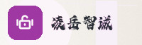合作伙伴